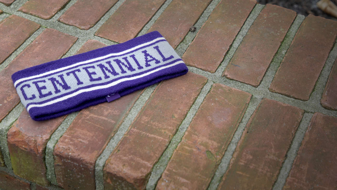 Ear Band laying on brick