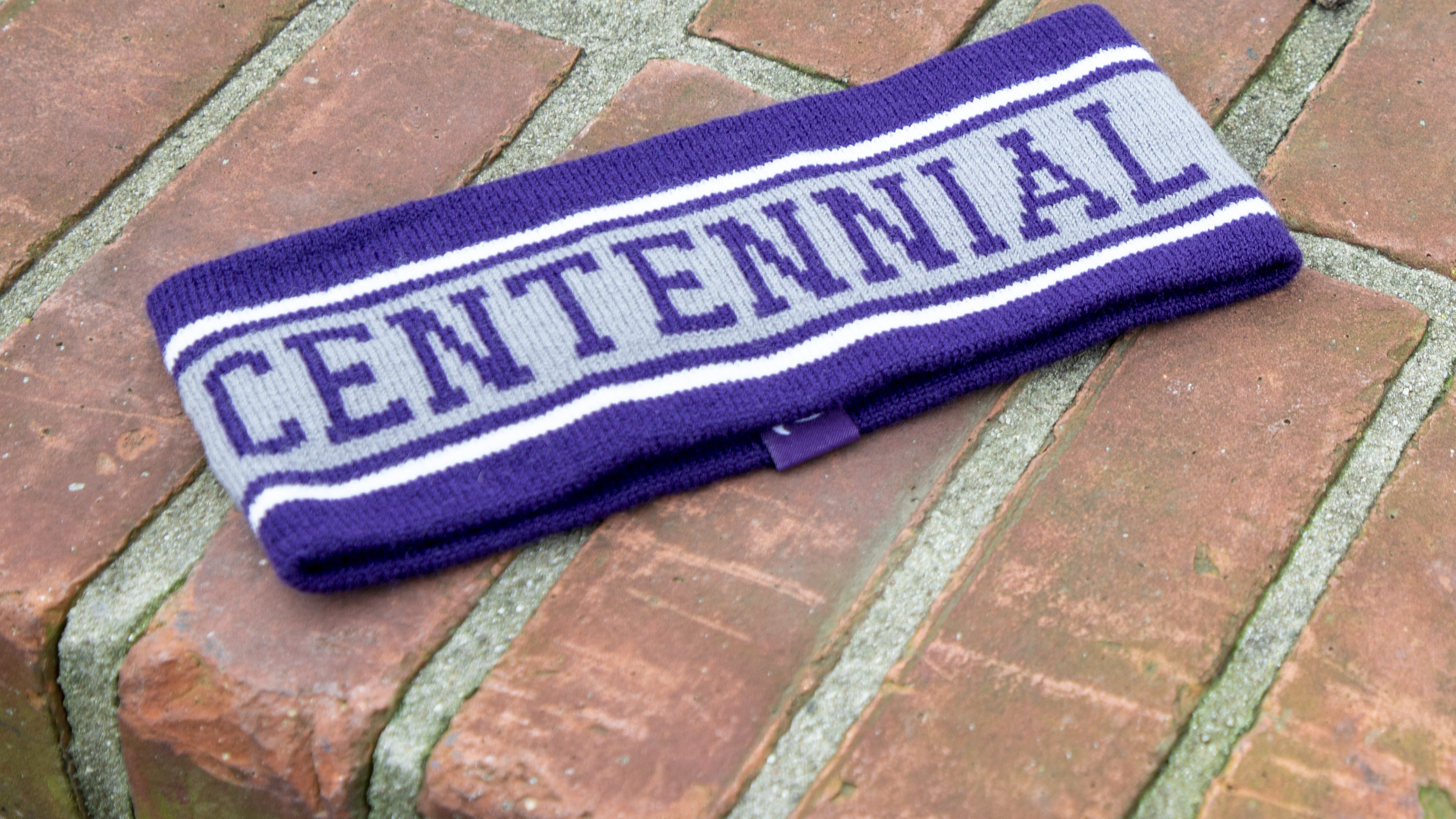 Ear Band laying on brick