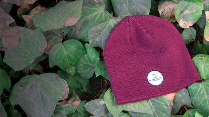 Uncuffed Knit hat laying on bed of green ivy