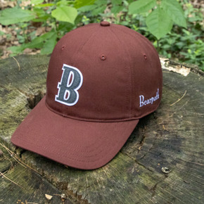 Adjustable Hat Featuring Dark Hazelnut Fall Seasonal Cotton Twill